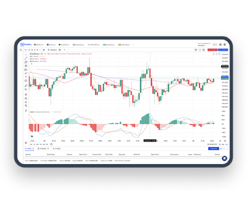 高级 WebTrader